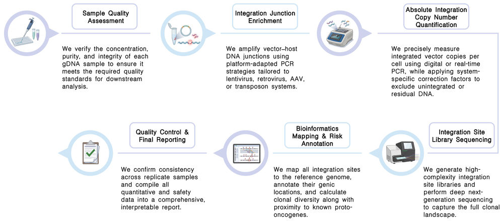 Workflow of cross-platform delivery system integration benchmarking services at Creative Biolabs. (Creative Biolabs Original)