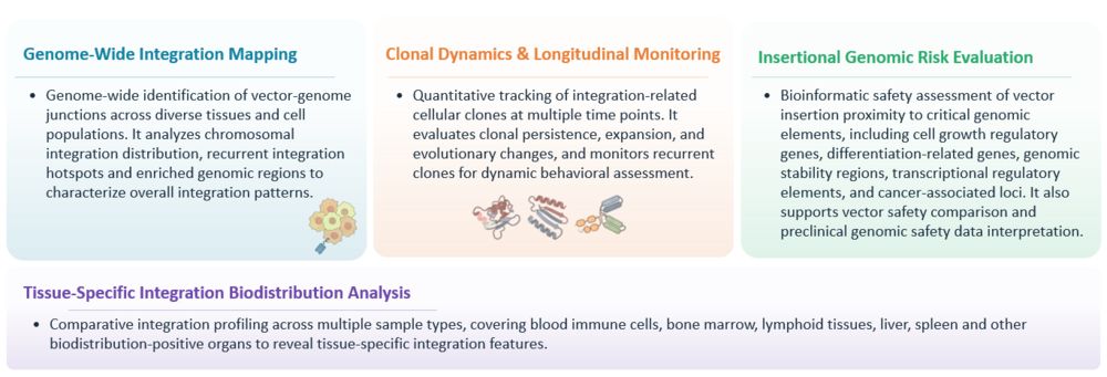 Analysis of Vector Integration Site Analysis (ISA) & Early Insertional Mutagenesis Screening for In Vivo CAR. (Creative Biolabs Original)
