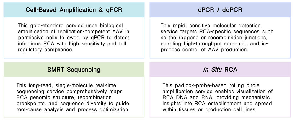 Featured services of RCA contamination auditing services at Creative Biolabs. (Creative Biolabs Original)