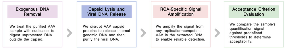 Workflow of RCA contamination auditing services at Creative Biolabs. (Creative Biolabs Original)