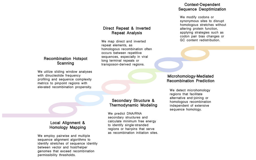 Featured services of homologous recombination sequence modeling & evolution prediction services at Creative Biolabs. (Creative Biolabs Original)