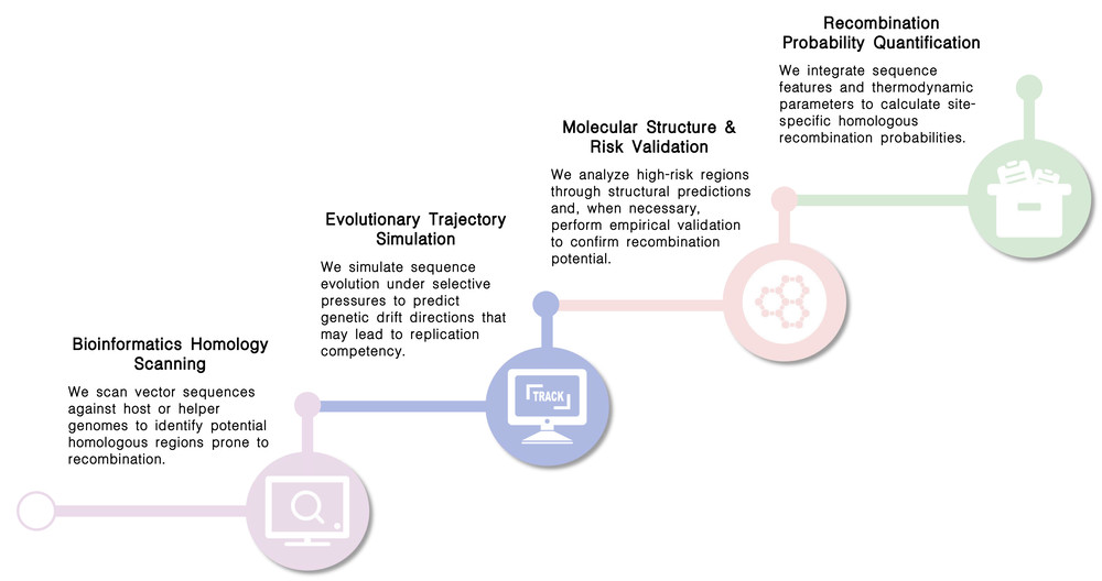 Workflow of homologous recombination sequence modeling & evolution prediction services at Creative Biolabs. (Creative Biolabs Original)