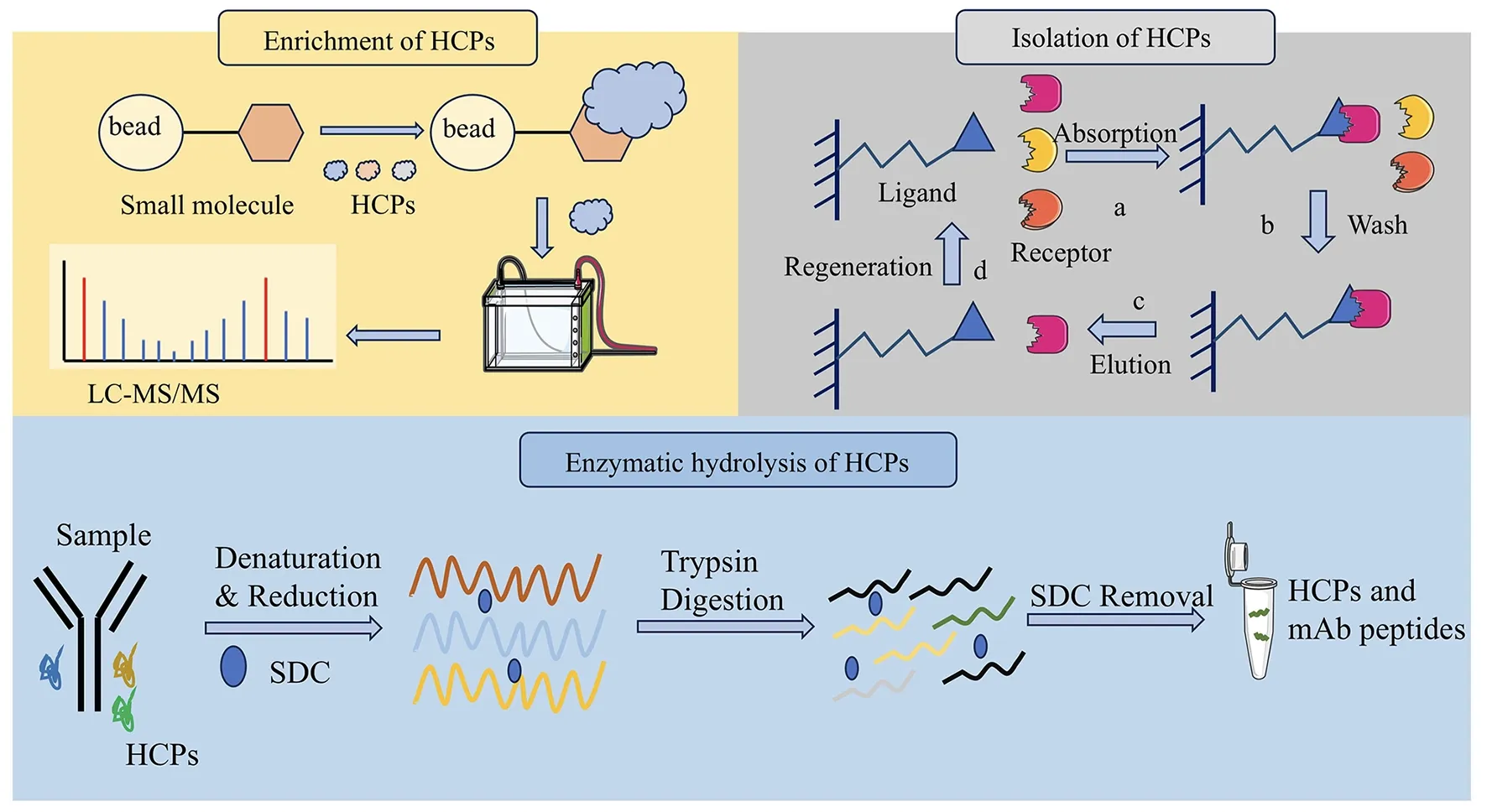 Fig.1 Three pre-analytical treatment protocols for HCP detection workflows. (OA Literature)