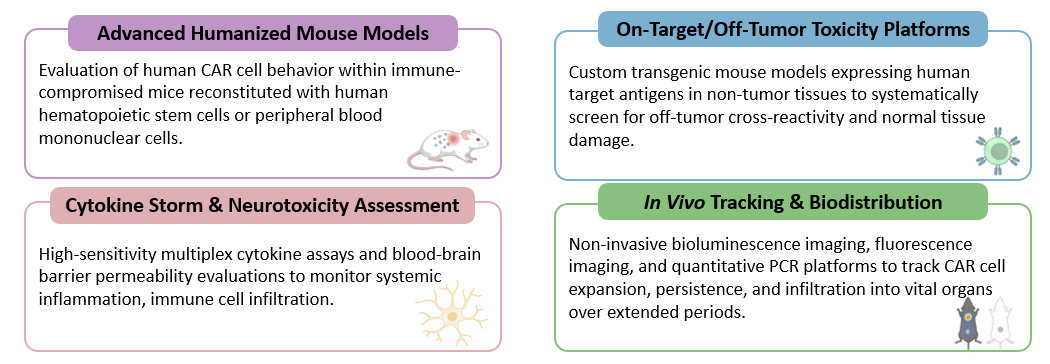 Platform of One-stop In Vivo CAR Safety Assessment. (Creative Biolabs Original)