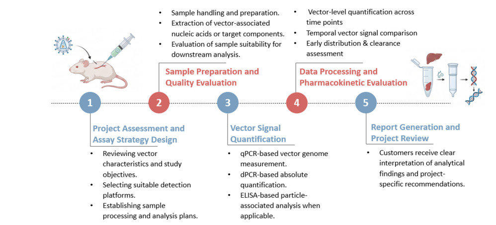 Workflow of In Vivo CAR Lentiviral Vector Physical Titer Quantification (qPCR / dPCR / ELISA) Service. (Creative Biolabs Original)