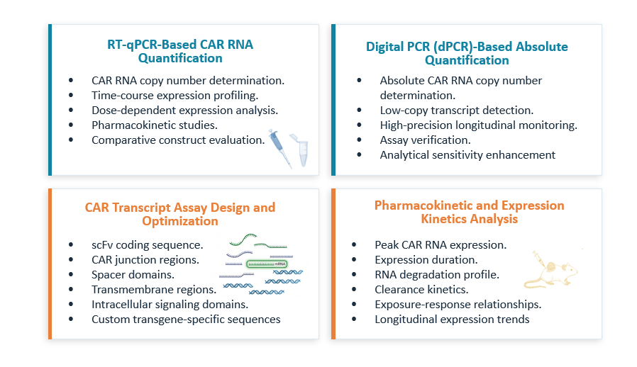 Analysis of Peripheral Blood CAR Transgene Integration Copy Number (VCN) Analysis. (Creative Biolabs Original)