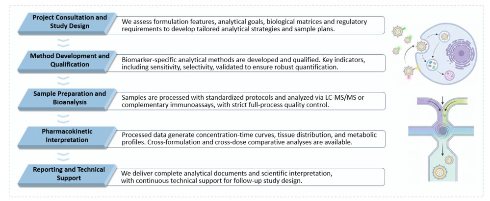 Workflow of CAR-LNP Delivery Vehicle Critical Component Tracking (LC-MS/MS & ELISA) Service. (Creative Biolabs Original)
