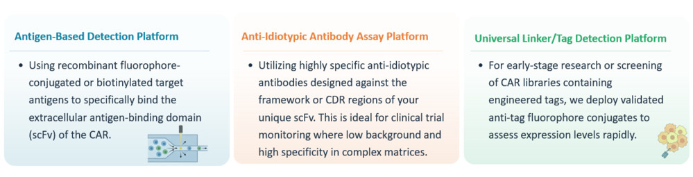 Analysis of Flow Cytometry-Based Cell Surface CAR Expression Quantification (FACS PK) Service. (Creative Biolabs Original)
