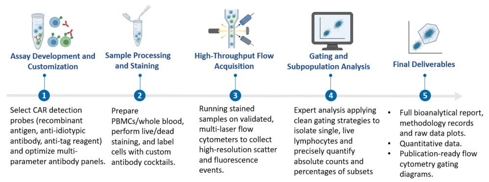 Workflow of Flow Cytometry-Based Cell Surface CAR Expression Quantification (FACS PK) Service. (Creative Biolabs Original)