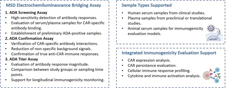 Assay of Anti-CAR ADA (Anti-Drug Antibody) Assay. (Creative Biolabs Original)