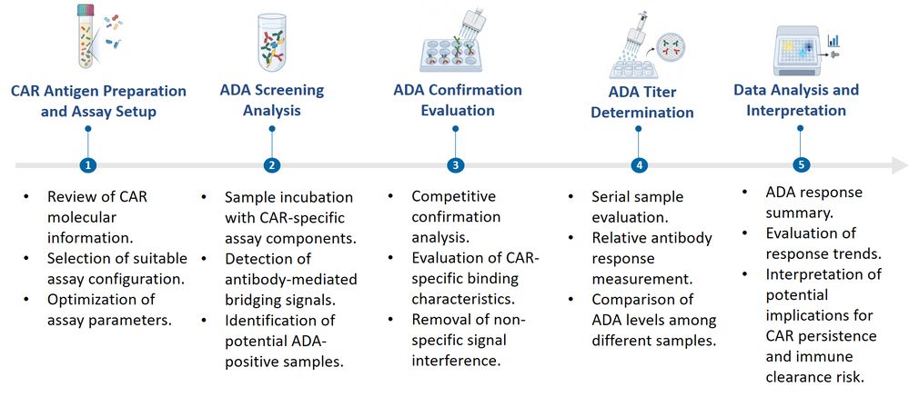 Workflow of Anti-CAR ADA (Anti-Drug Antibody) Assay. (Creative Biolabs Original)