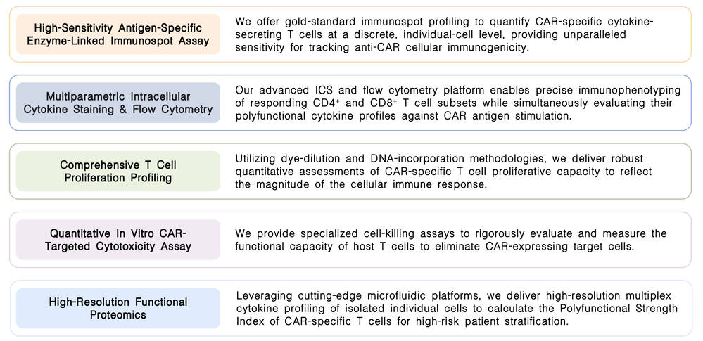 Featured services of CAR-specific cellular immune response assay at Creative Biolabs. (Creative Biolabs Original)