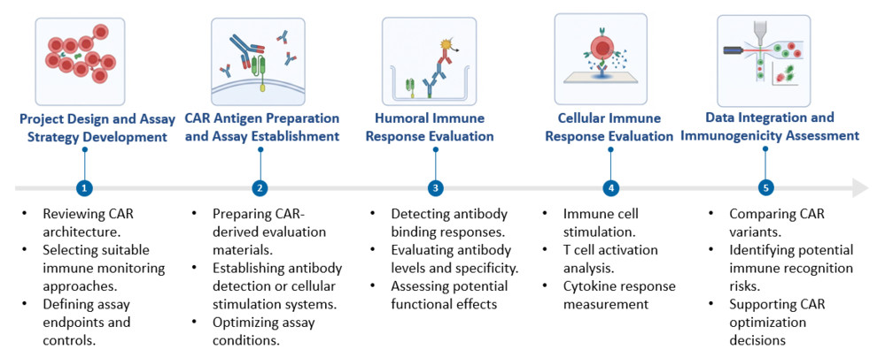 Workflow of Humoral & Cellular Anti-CAR Immunogenicity Evaluation Services. (Creative Biolabs Original)