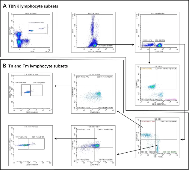 Fig.1 T cell features linked to CAR-T therapy effectiveness. (OA Literature)
