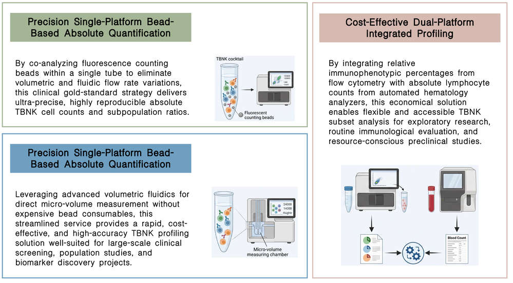 Featured services of lymphocyte subset profile & absolute cell count analysis (TBNK FACS) at Creative Biolabs. (Creative Biolabs Original)