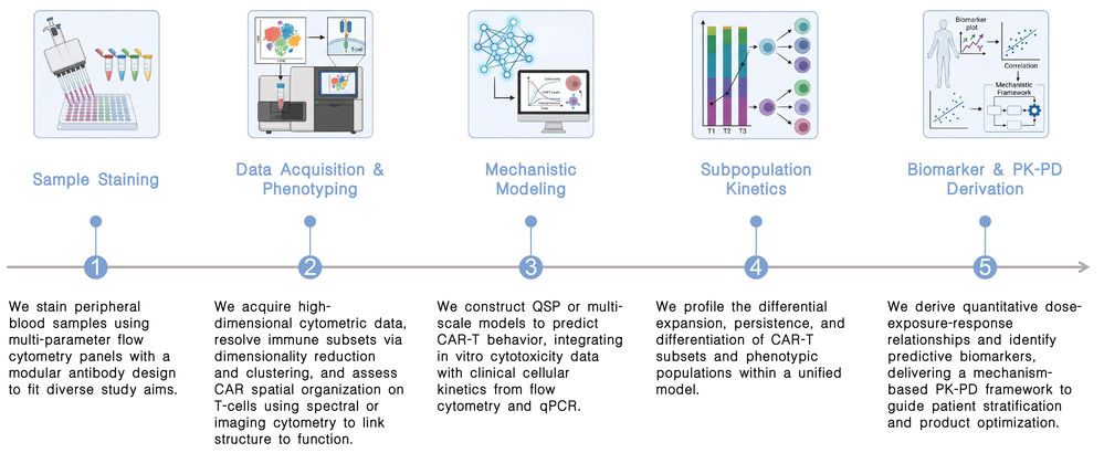 Workflow of CAR-mediated pharmacodynamics (PD) & immune phenotypical biomarker analysis at Creative Biolabs. (Creative Biolabs Original)
