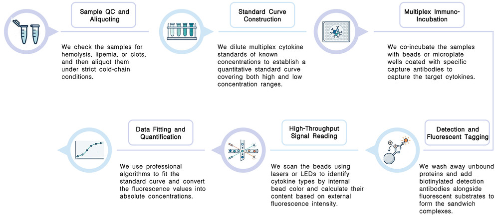 Workflow of multiplex high-throughput CRS biomarker detection service at Creative Biolabs. (Creative Biolabs Original)