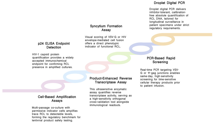 Featured services of RCL regulatory compliance assay (VSV-G / Wild-Type) at Creative Biolabs. (Creative Biolabs Original)