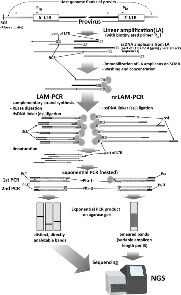Fig.1 The technical landscape surrounding the detection of integration sites for retroviruses and their derived vectors. (OA Literature)