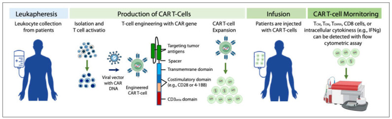 Fig.1 Production, deployment, and efficacy monitoring of CAR T-cells. (OA Literature)
