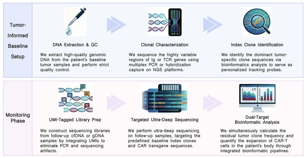 Workflow of NGS-based companion ultra-sensitive MRD tracking for CAR therapies at Creative Biolabs. (Creative Biolabs Original)