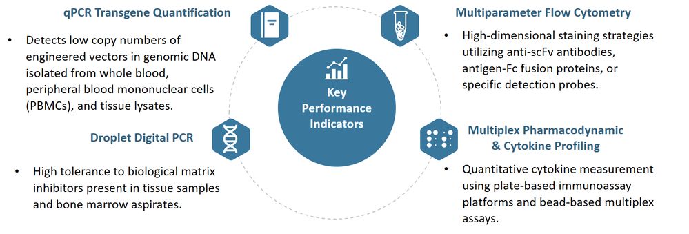 Evaluation of CAR Bioanalysis & Testing Services. (Creative Biolabs Original)