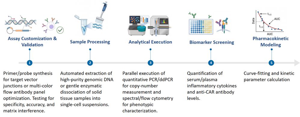 Workflow of CAR Bioanalysis & Testing Services. (Creative Biolabs Original)