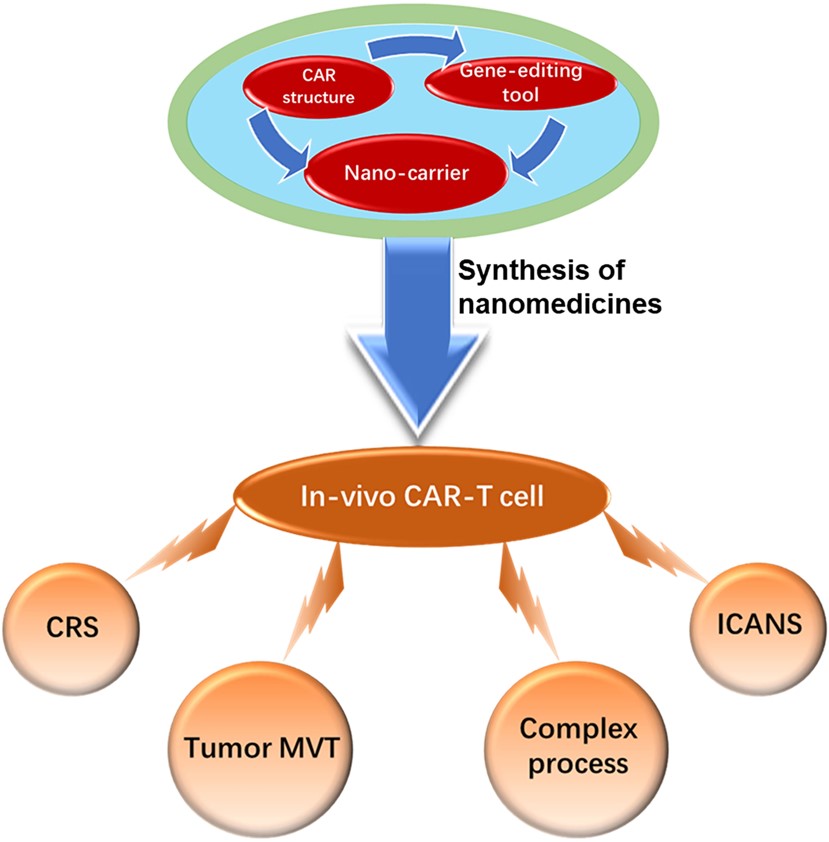 Fig.1 In vivo CAR-T cells address numerous challenges associated with conventional CAR-T approaches. (OA Literature)
