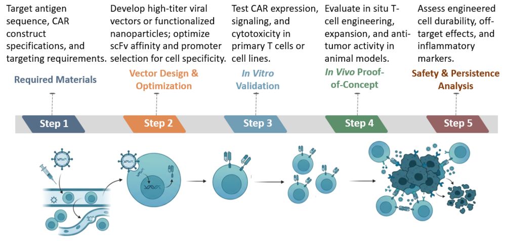 Workflow of In Vivo CAR-T Engineering. (Creative Biolabs Original)
