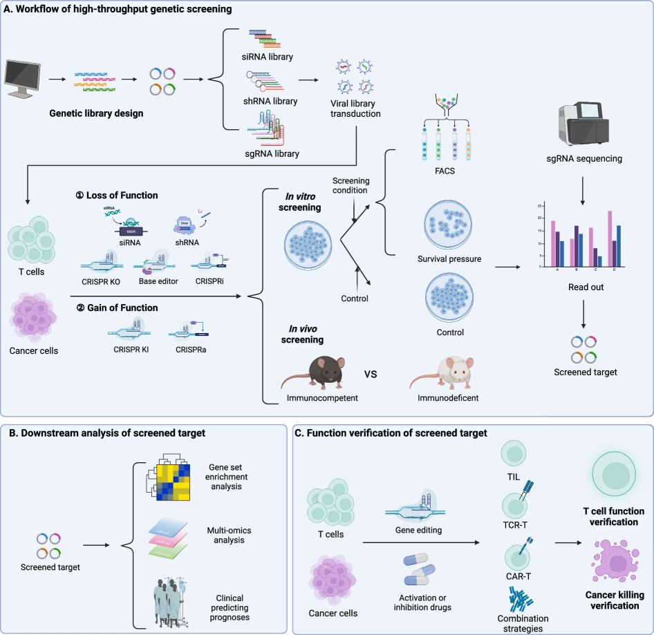 Fig.1 High-Throughput Screening technology. (OA Literature)