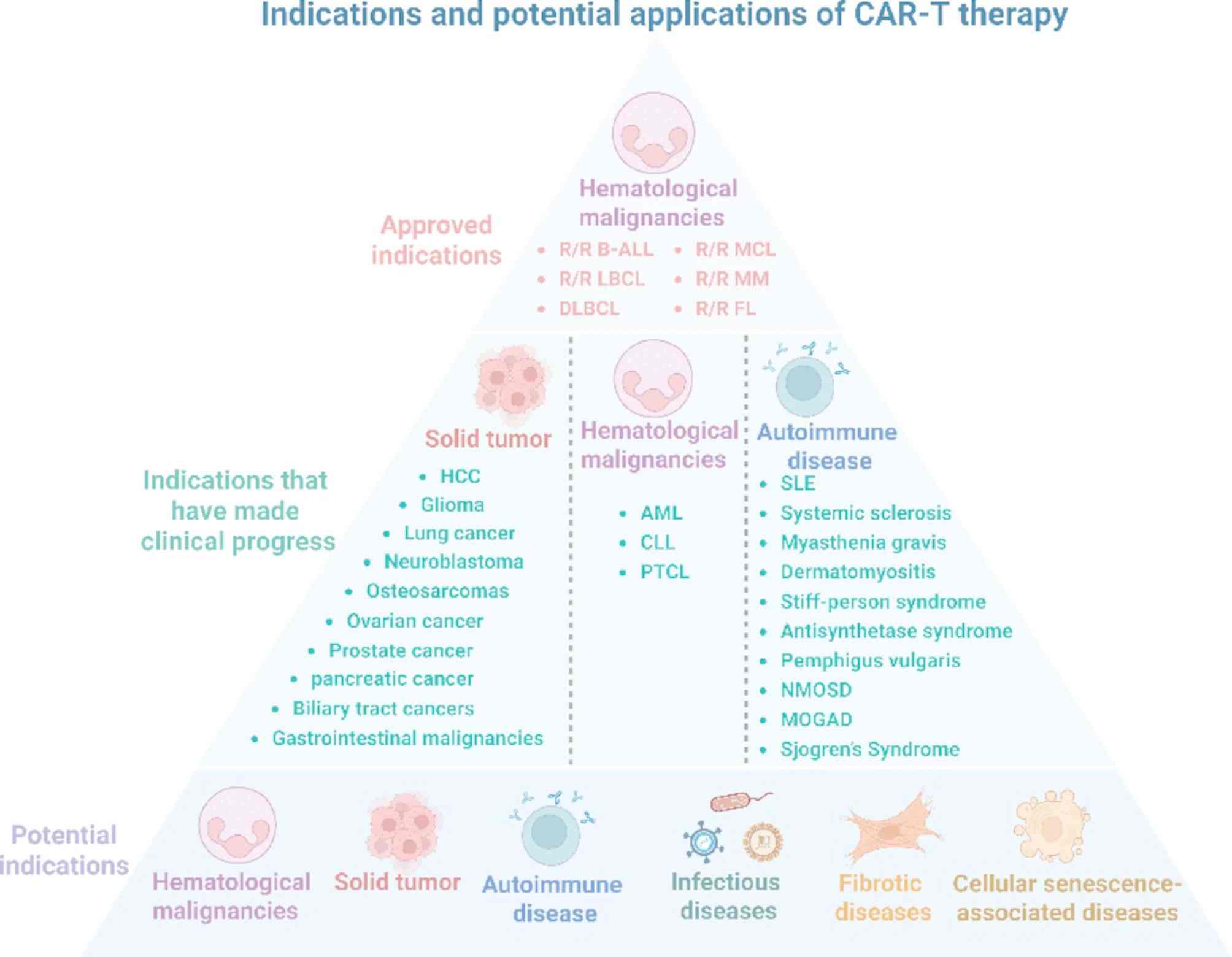 Fig.1 Critical parameters influencing CAR molecule function. (OA Literature)