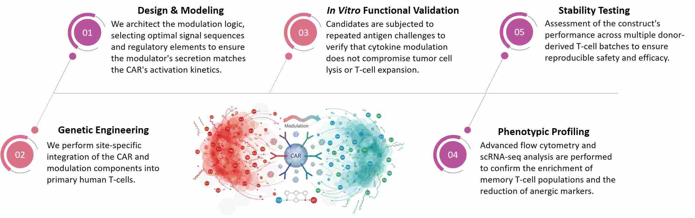Workflow of CAR-T Cell Cytokine Release Profile Modulation. (Creative Biolabs Original)