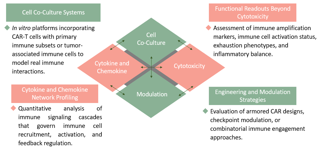 Technical Capabilities of CAR-T Cell & Immune Cell Interaction Enhancement. (Creative Biolabs Original)