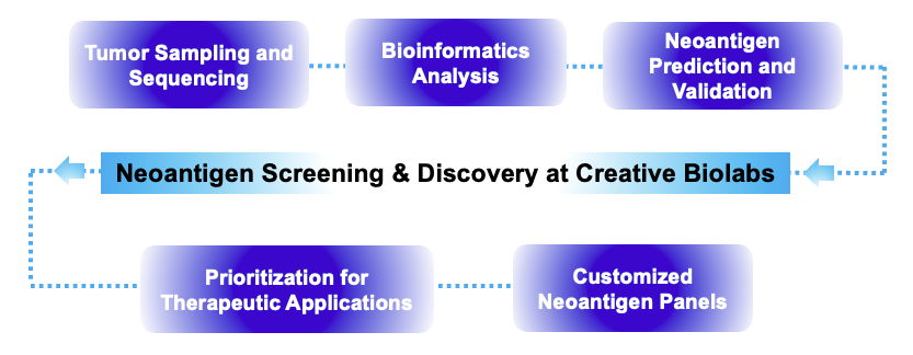 Fig.2 Process. (Creative Biolabs Original)