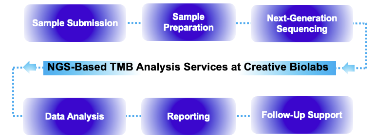 Fig.1 Process. (Creative Biolabs Original)