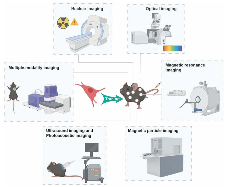 Fig.1 In vivo technologies.