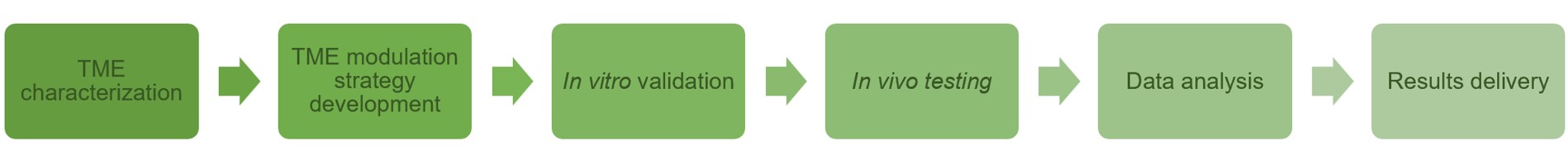 Fig.2 Process. (Creative Biolabs Original)