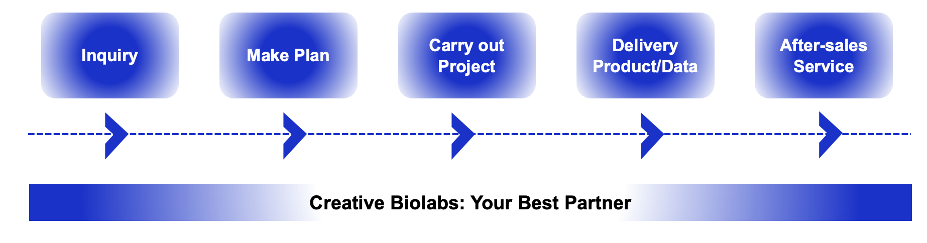 Fig.2 Why Choose Us. (Creative Biolabs Original)