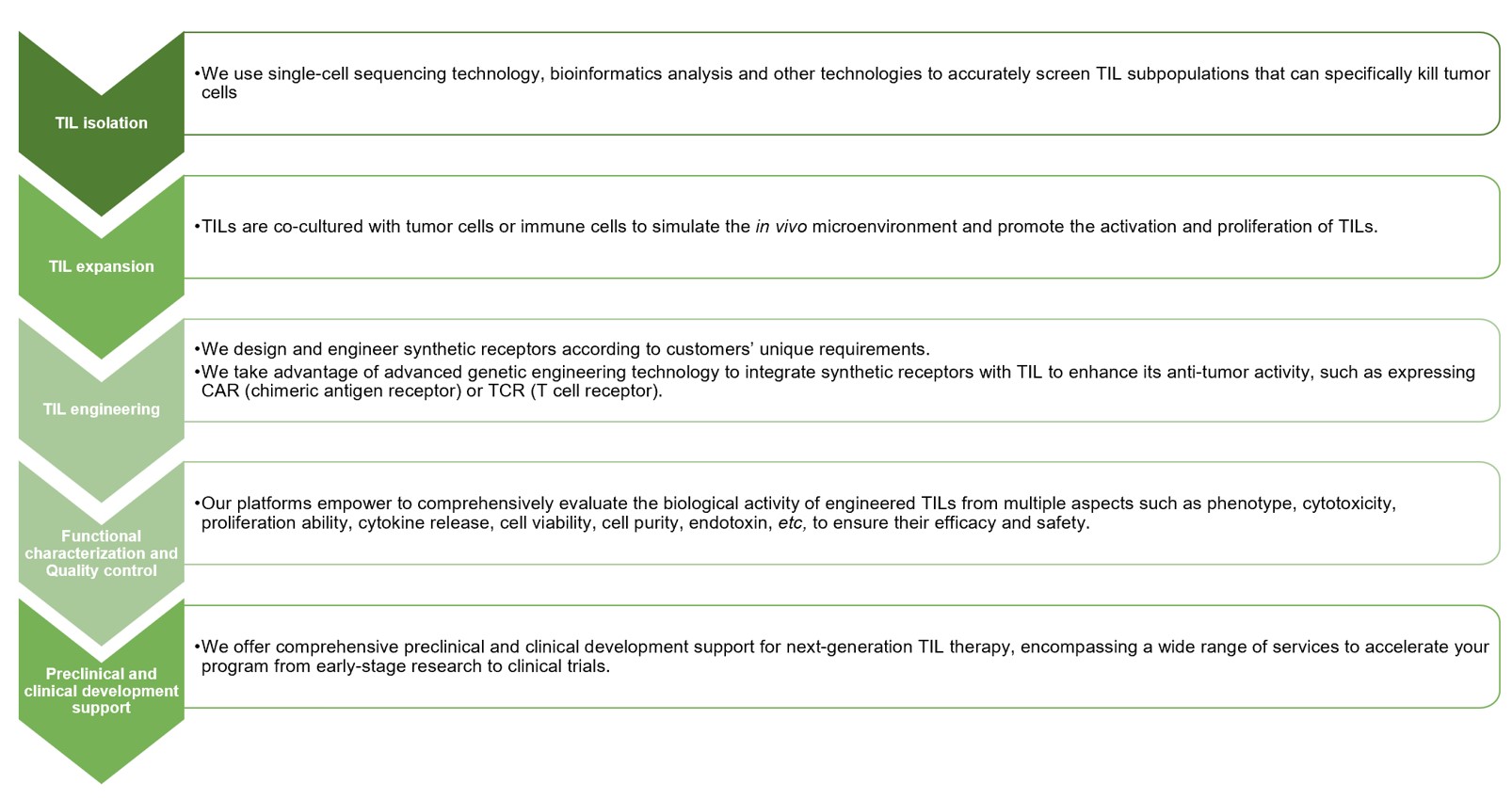 Fig.2 Service process. (Creative Biolabs Original)