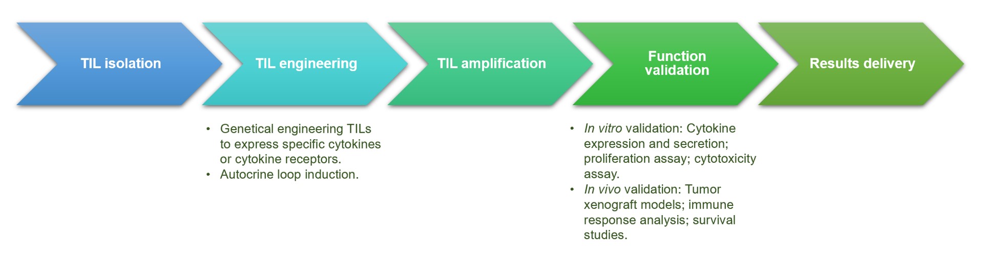 Fig.2 Service process. (Creative Biolabs Original)