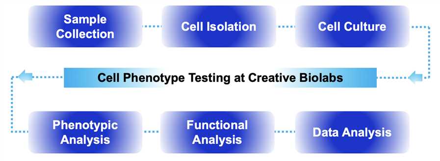 Fig.1 Process. (Creative Biolabs Original)