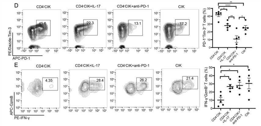 Analysis of the CIK function and exhaustion.