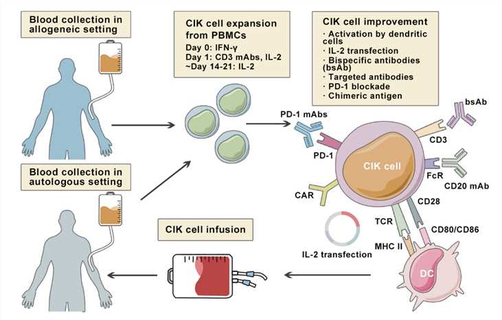 Overview of Multiple Approaches Aiming at ImprovCytokine-Induceduced Killer (CIK) Cell Therapy in Lymphoma.