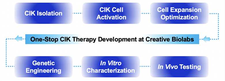 Fig.1 Process. (Creative Biolabs Original)