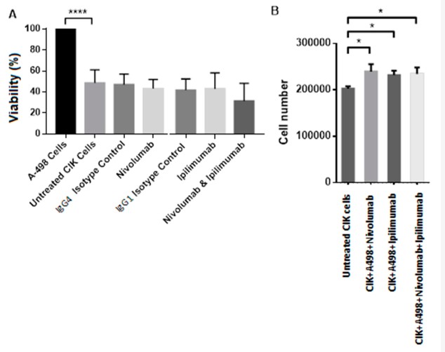 Fig.2 Anti-tumor cell effects of PD-1 and CTLA-4 inhibitors in coculture of A-498 with CIK cells.