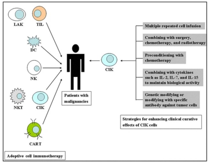 Improvement strategies.
