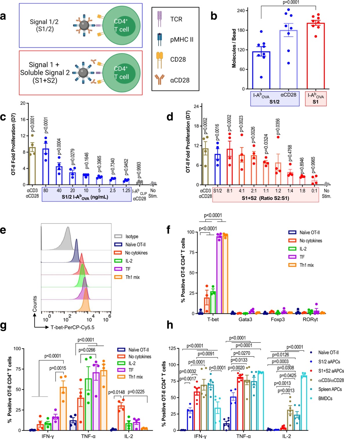 Fig.2 MHC II artificial T cell stimulators stimulate functional antigen-specific murine CD4+ T cells.
