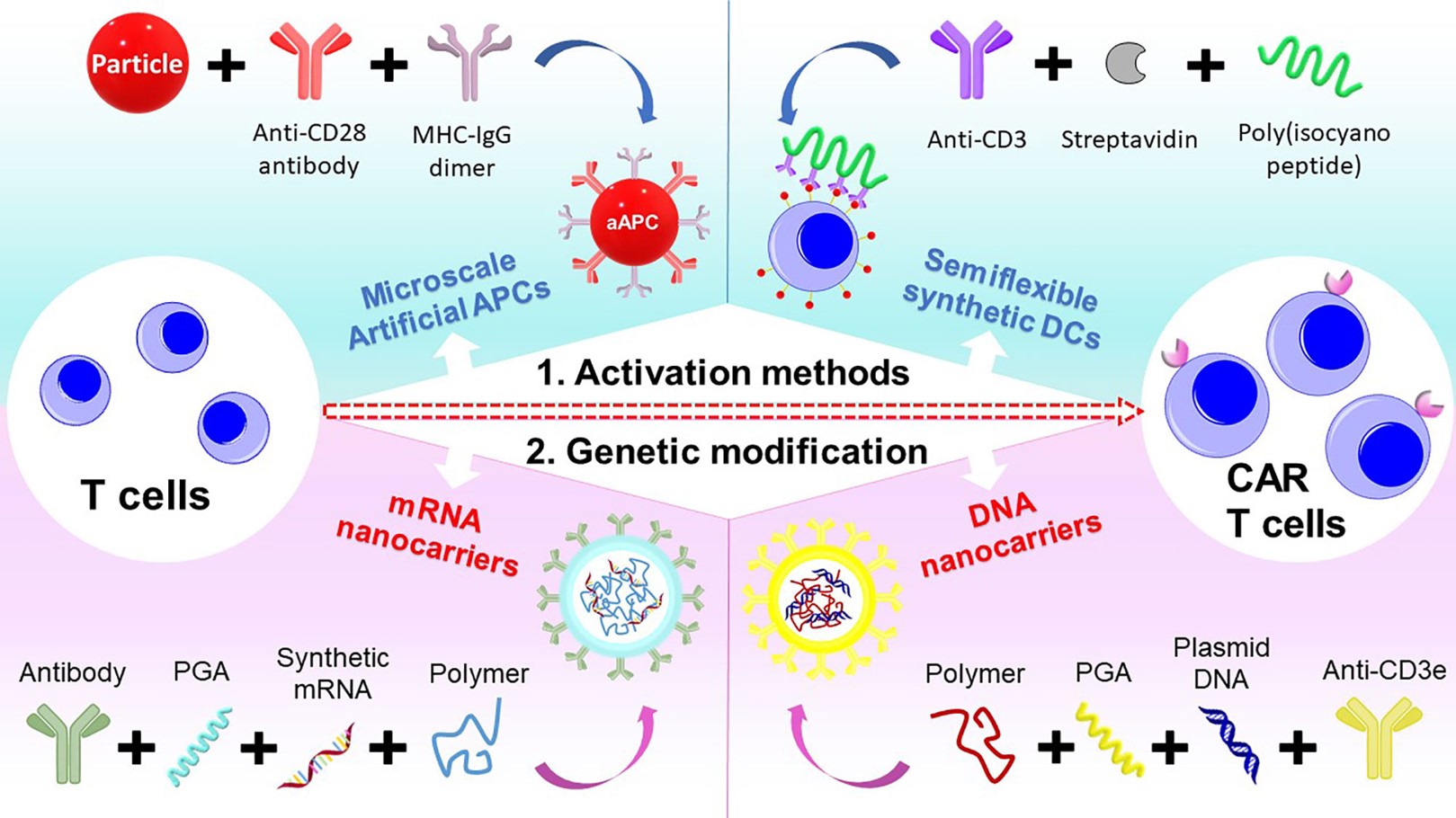 Fig.1 Schematic of different polymeric systems designed for CAR-T cell therapy.