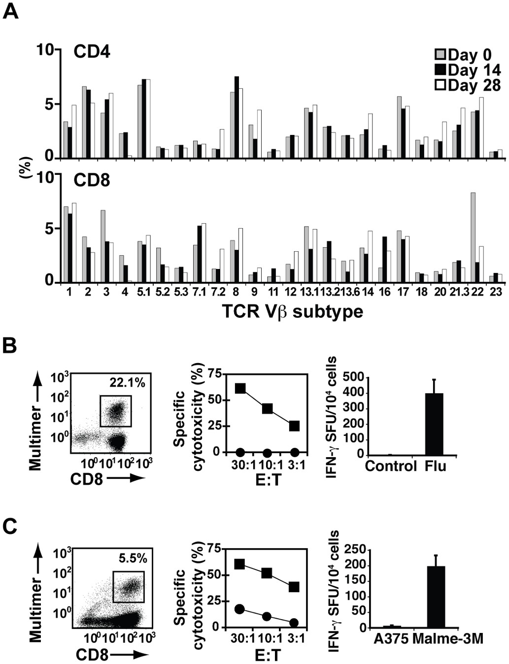 Fig.2 Artificial T cell stimulator/mOKT3 induces unbiased CD3+ T cell expansion.