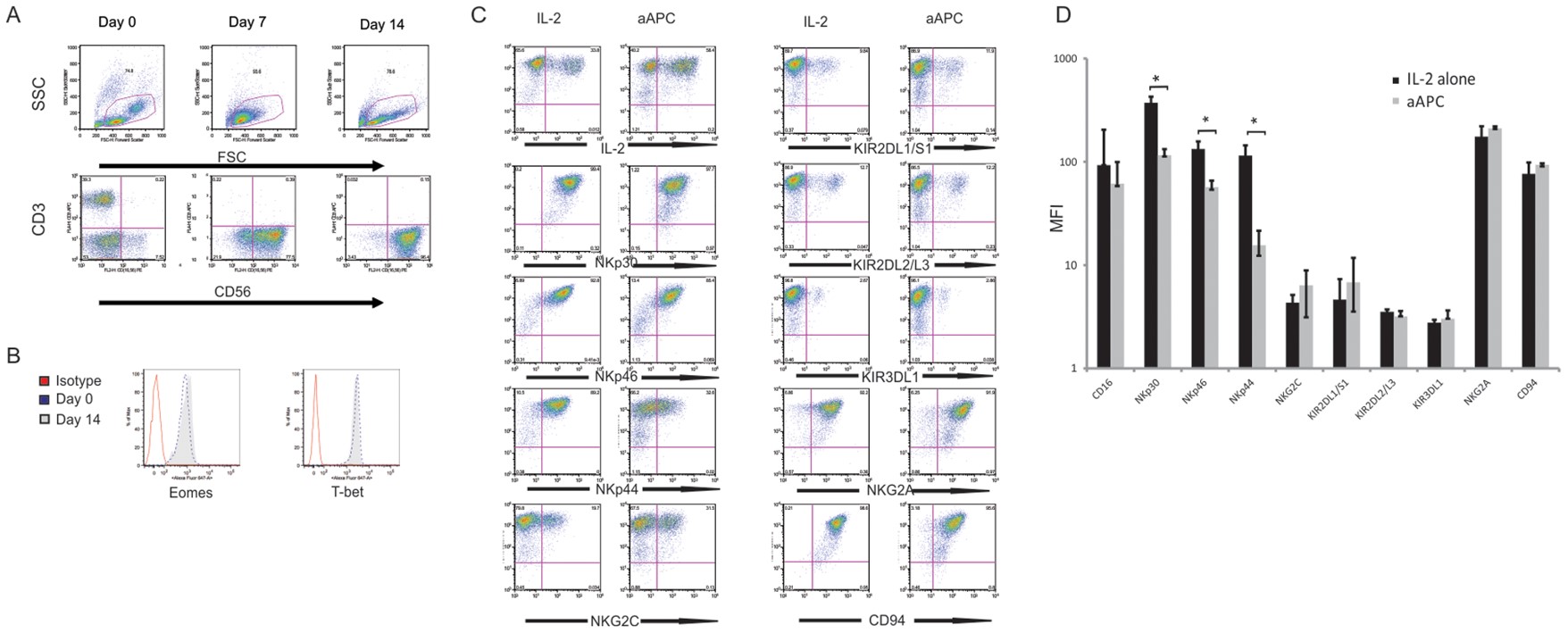 Fig.3 Phenotype of CB-NK cells cultured with artificial stimulators.
